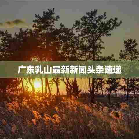 广东乳山最新新闻头条速递