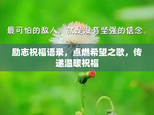 励志祝福语录,点燃希望之歌,传递温暖祝福