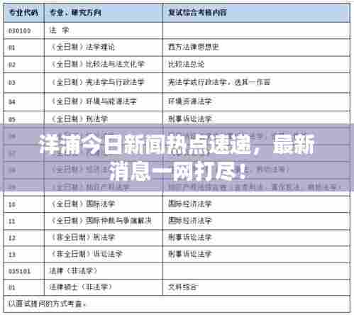 洋浦今日新闻热点速递,最新消息一网打尽!