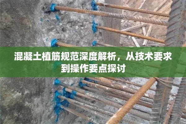 混凝土植筋规范深度解析,从技术要求到操作要点探讨