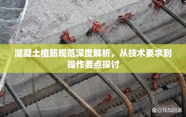 混凝土植筋规范深度解析,从技术要求到操作要点探讨