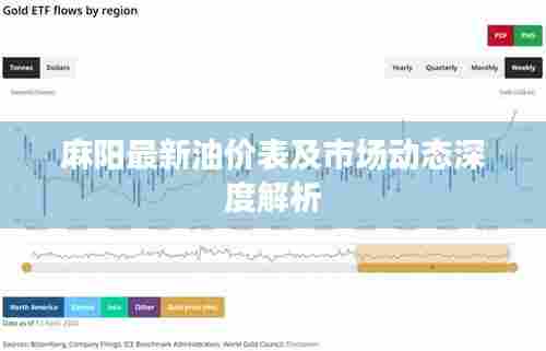 麻阳最新油价表及市场动态深度解析