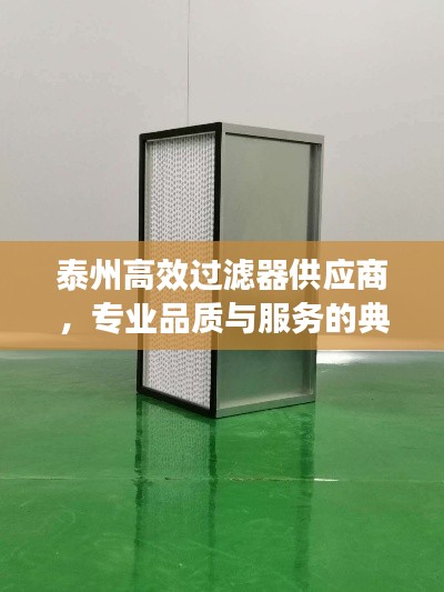 泰州高效过滤器供应商，专业品质与服务的典范之选