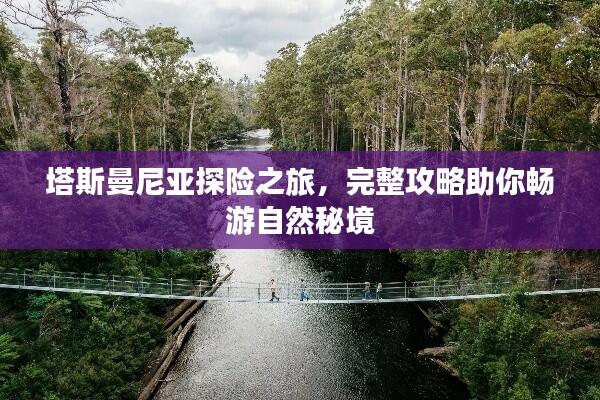 塔斯曼尼亚探险之旅，完整攻略助你畅游自然秘境