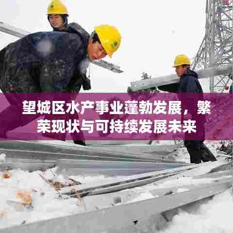 望城区水产事业蓬勃发展,繁荣现状与可持续发展未来