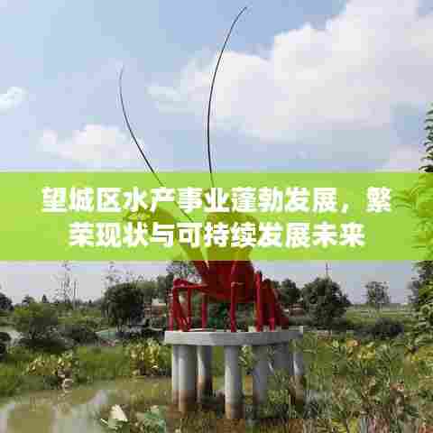 望城区水产事业蓬勃发展,繁荣现状与可持续发展未来