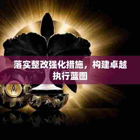 落实整改强化措施，构建卓越执行蓝图