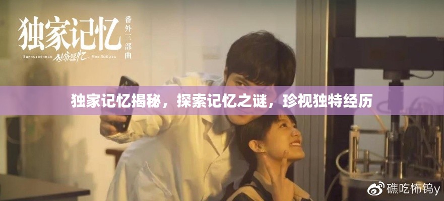 独家记忆揭秘,探索记忆之谜,珍视独特经历