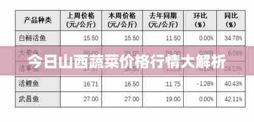 今日山西蔬菜价格行情大解析