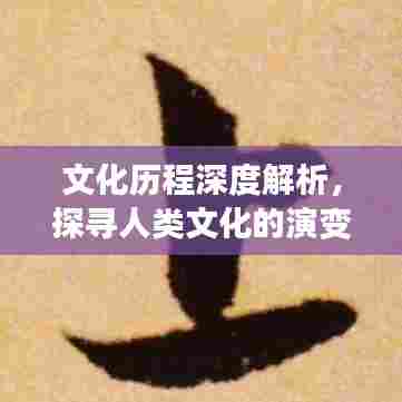 文化历程深度解析,探寻人类文化的演变与发展之旅