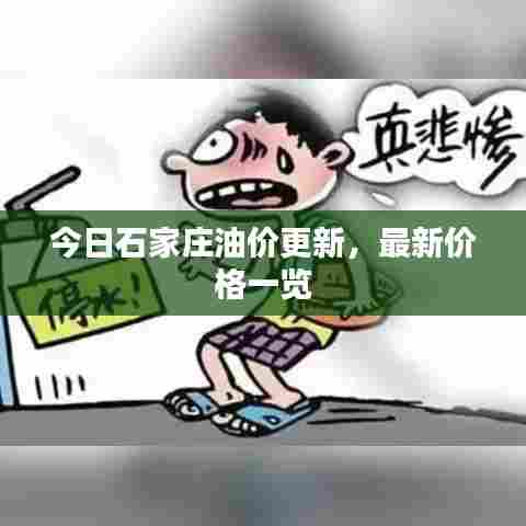 今日石家庄油价更新，最新价格一览