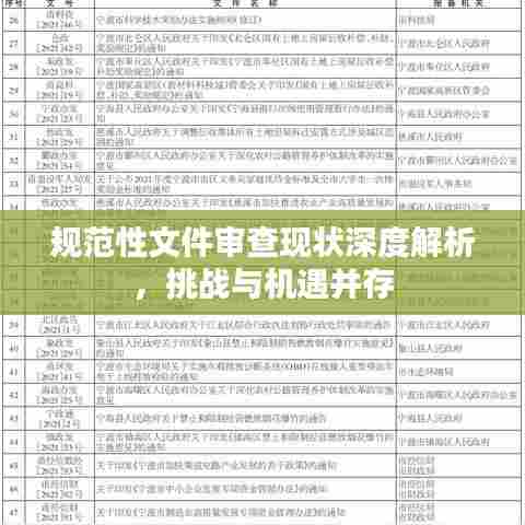规范性文件审查现状深度解析，挑战与机遇并存