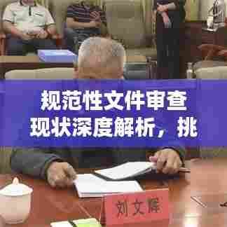 规范性文件审查现状深度解析,挑战与机遇并存