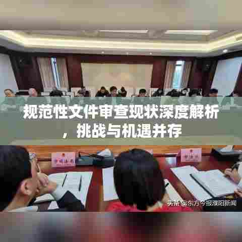 规范性文件审查现状深度解析,挑战与机遇并存