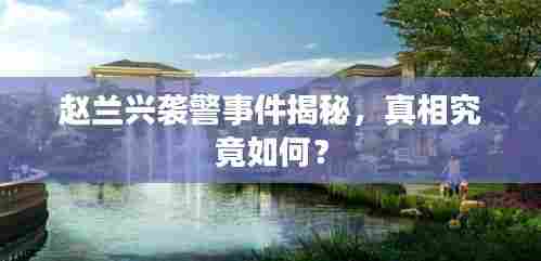 赵兰兴袭警事件揭秘,真相究竟如何?