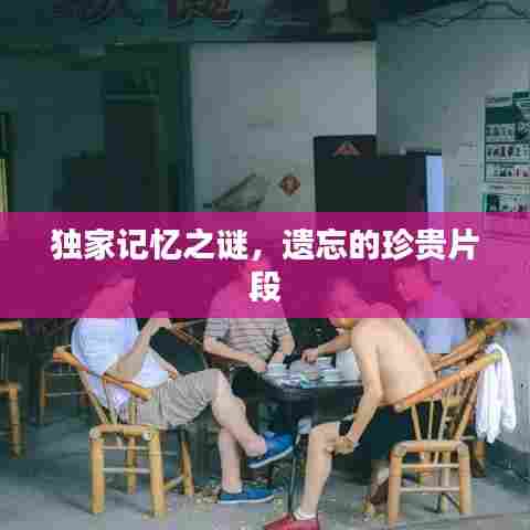独家记忆之谜，遗忘的珍贵片段