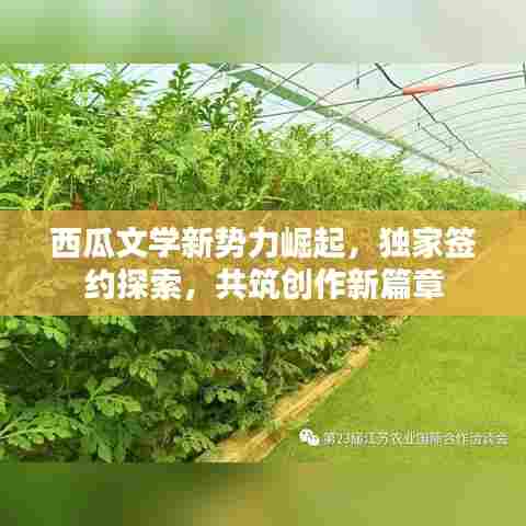 西瓜文学新势力崛起，独家签约探索，共筑创作新篇章