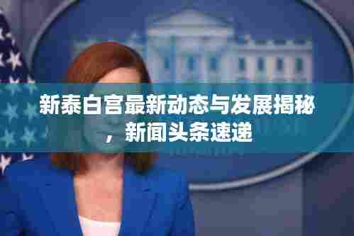 新泰白宫最新动态与发展揭秘，新闻头条速递