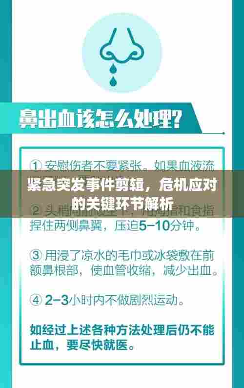紧急突发事件剪辑,危机应对的关键环节解析