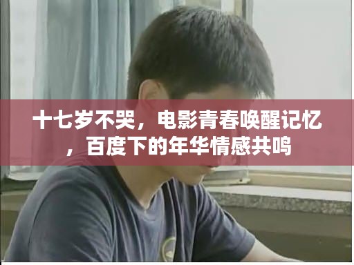 十七岁不哭,电影青春唤醒记忆,百度下的年华情感共鸣
