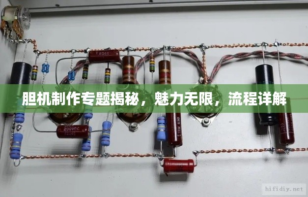 胆机制作专题揭秘，魅力无限，流程详解