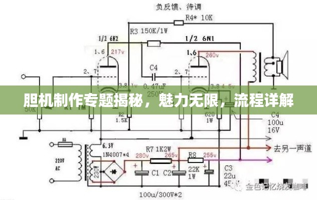 胆机制作专题揭秘,魅力无限,流程详解