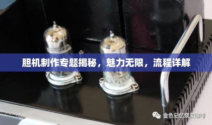 胆机制作专题揭秘,魅力无限,流程详解