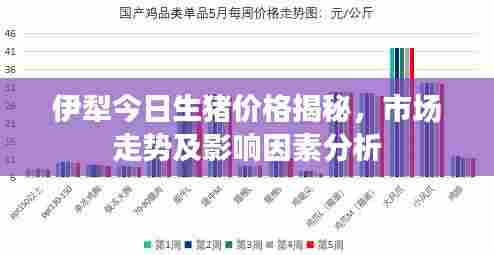 伊犁今日生猪价格揭秘,市场走势及影响因素分析