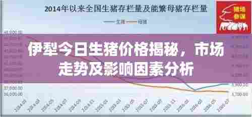伊犁今日生猪价格揭秘,市场走势及影响因素分析