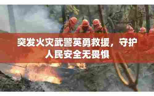 林下风范 第5页