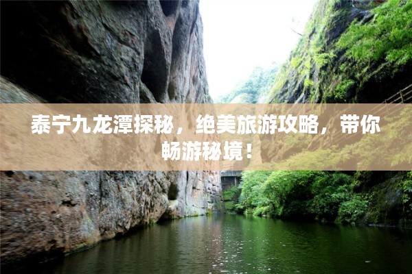 泰宁九龙潭探秘,绝美旅游攻略,带你畅游秘境!