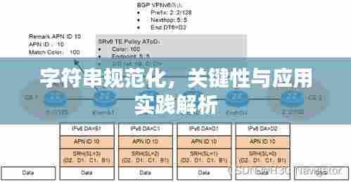 字符串规范化，关键性与应用实践解析