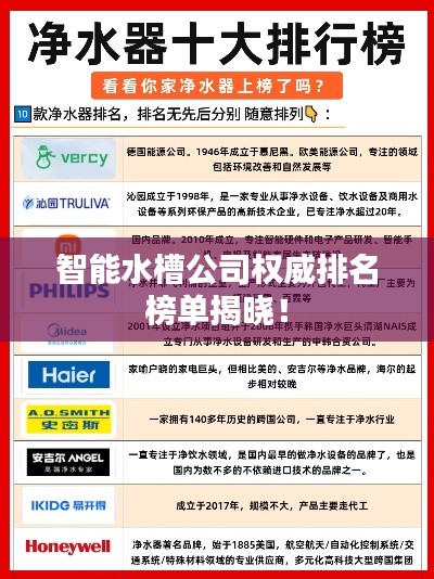 智能水槽公司权威排名榜单揭晓!