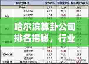 哈尔滨算卦公司排名揭秘，行业深度解读与解析