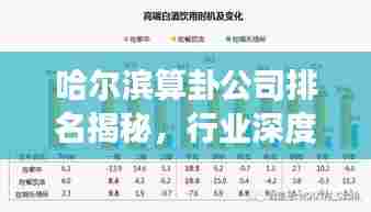 哈尔滨算卦公司排名揭秘,行业深度解读与解析