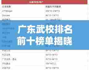 广东武校排名前十榜单揭晓！