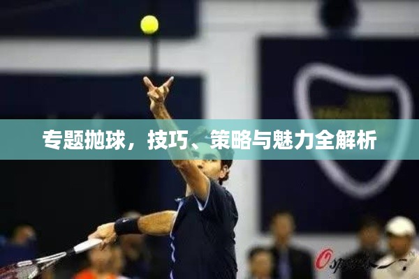 专题抛球，技巧、策略与魅力全解析