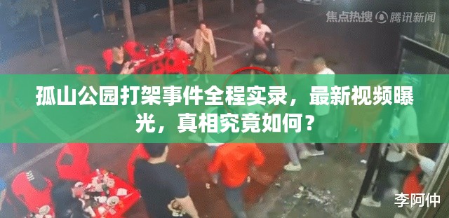 孤山公园打架事件全程实录，最新视频曝光，真相究竟如何？