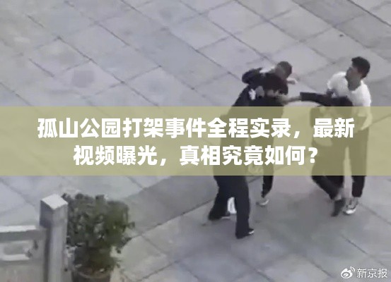 孤山公园打架事件全程实录,最新视频曝光,真相究竟如何?