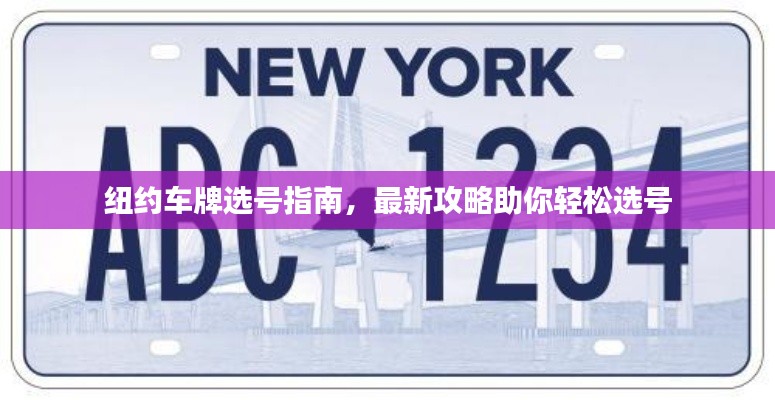纽约车牌选号指南,最新攻略助你轻松选号