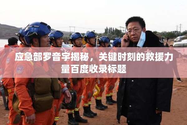 应急部罗音宇揭秘,关键时刻的救援力量百度收录标题