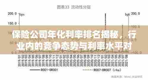 保险公司年化利率排名揭秘,行业内的竞争态势与利率水平对比观察