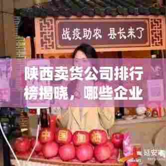 陕西卖货公司排行榜揭晓,哪些企业独占鳌头?