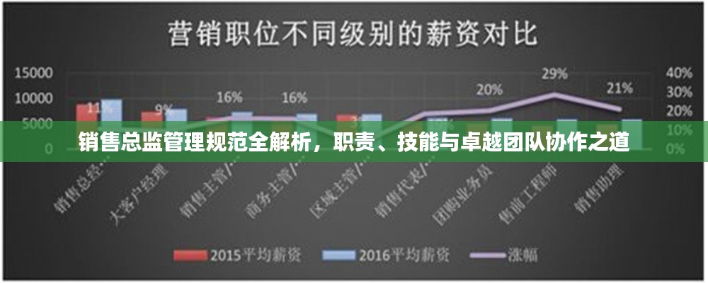 销售总监管理规范全解析，职责、技能与卓越团队协作之道