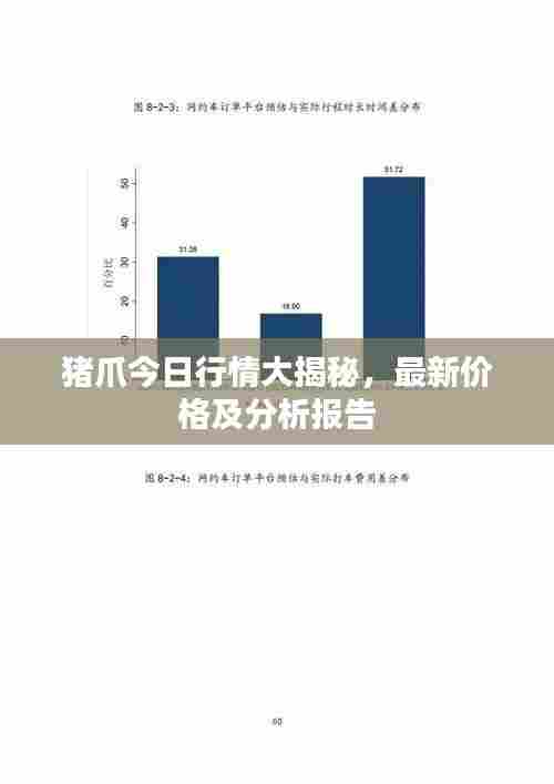 猪爪今日行情大揭秘，最新价格及分析报告