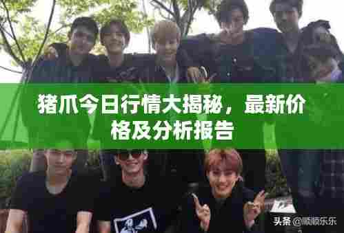 猪爪今日行情大揭秘,最新价格及分析报告