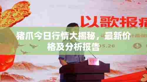 猪爪今日行情大揭秘,最新价格及分析报告