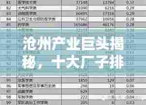 沧州产业巨头揭秘，十大厂子排名榜单！