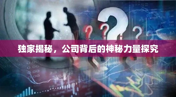 独家揭秘,公司背后的神秘力量探究