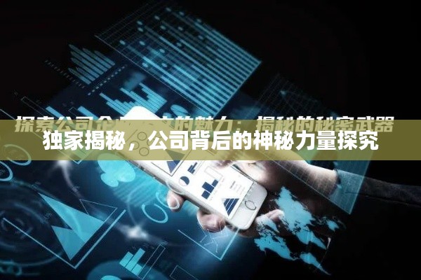独家揭秘,公司背后的神秘力量探究